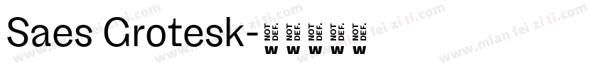 Saes Grotesk字体转换